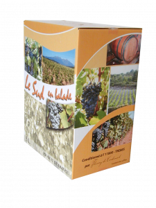 Emballage viticole en carton pour bag-in-box 5L